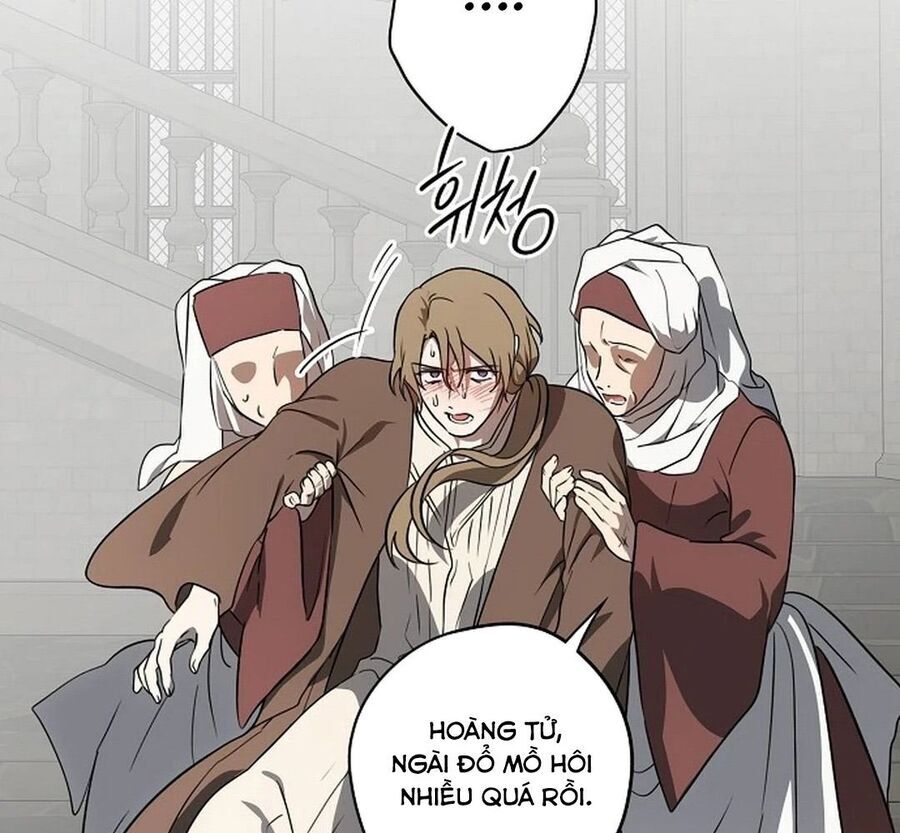 Bị Che Khuất Bởi Mặt Trời Lặn Chapter 196 - Trang 2