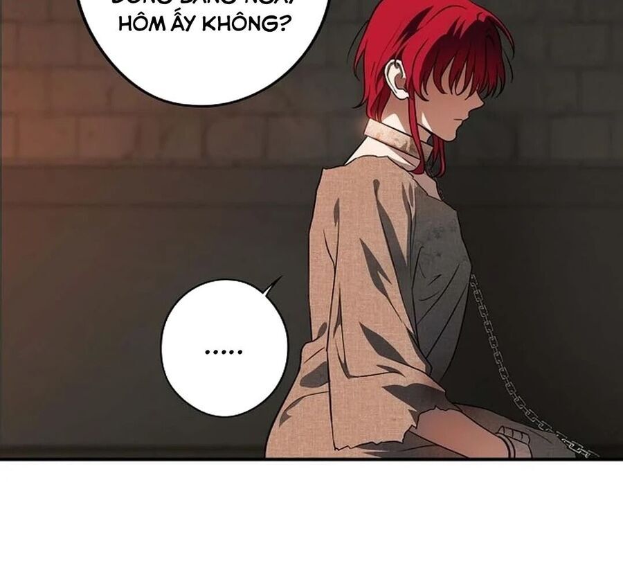 Bị Che Khuất Bởi Mặt Trời Lặn Chapter 197 - Trang 2