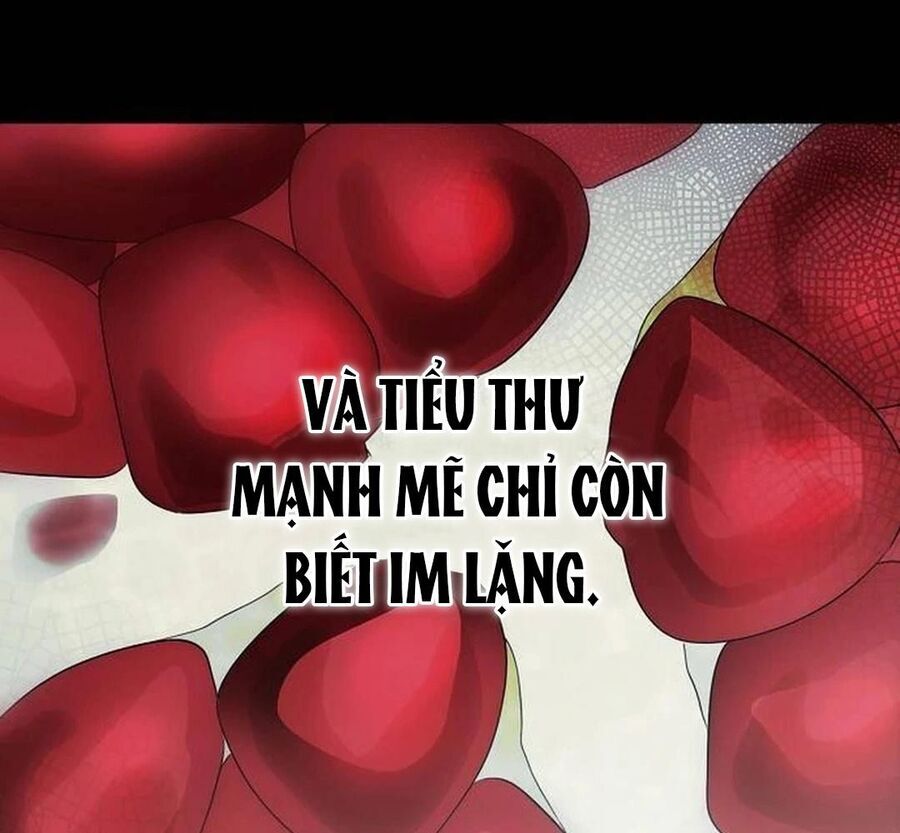 Bị Che Khuất Bởi Mặt Trời Lặn Chapter 198 - Trang 2