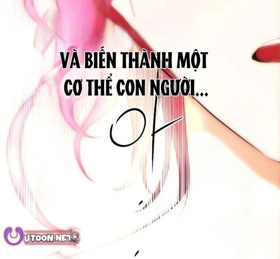 Bị Che Khuất Bởi Mặt Trời Lặn Chapter 202 - Trang 2