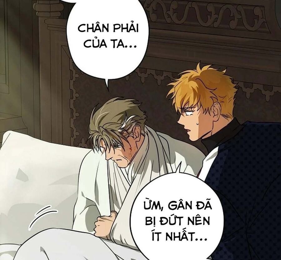 Bị Che Khuất Bởi Mặt Trời Lặn Chapter 205 - Trang 2