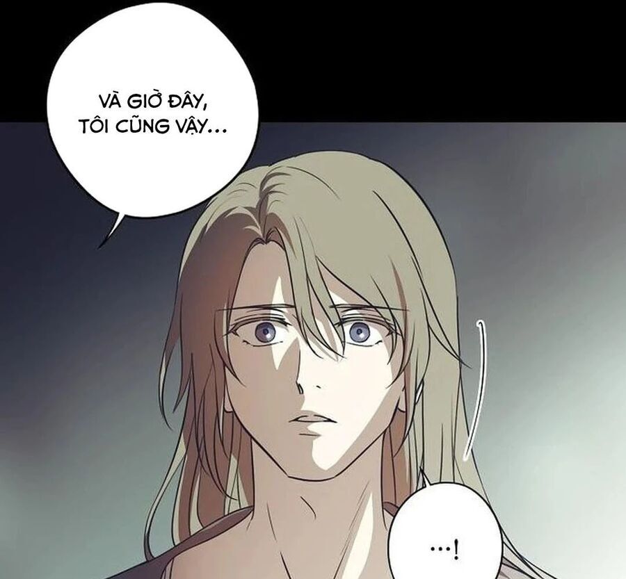 Bị Che Khuất Bởi Mặt Trời Lặn Chapter 207 - Trang 2