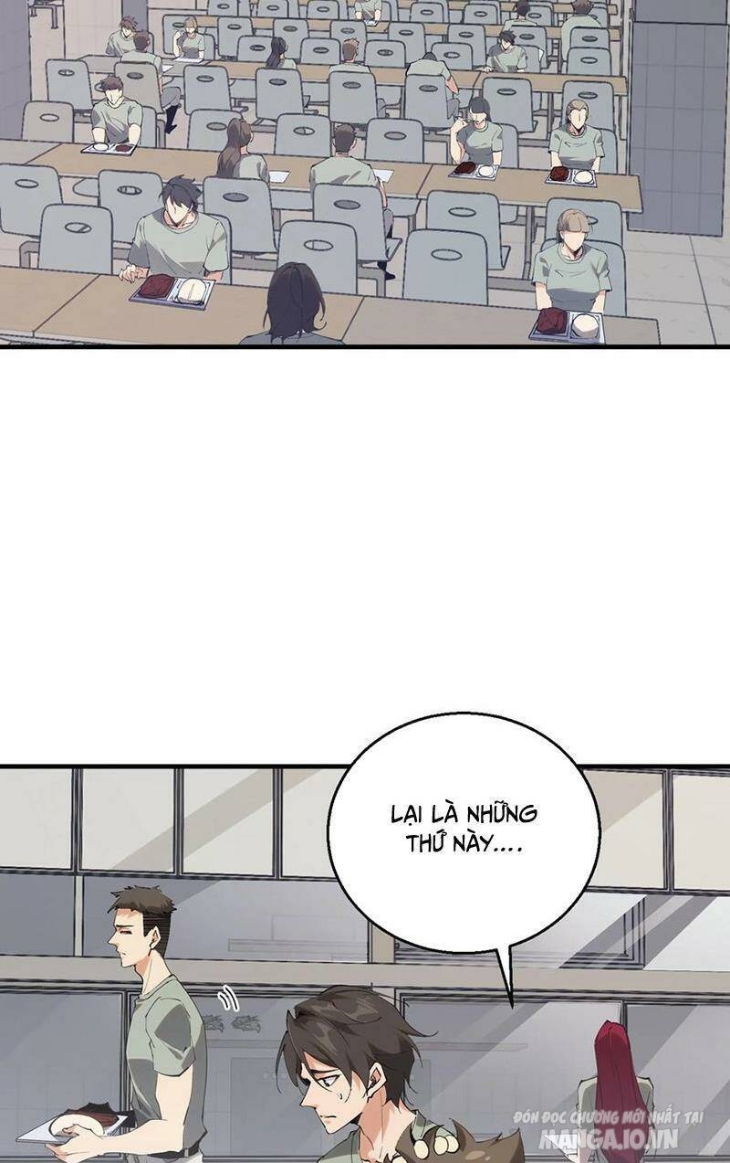 Ta Học Trảm Thần Trong Bệnh Viện Tâm Thần Chapter 66 - Trang 2