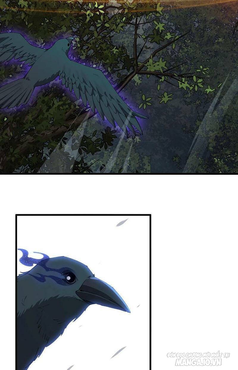 Ta Học Trảm Thần Trong Bệnh Viện Tâm Thần Chapter 69 - Trang 2