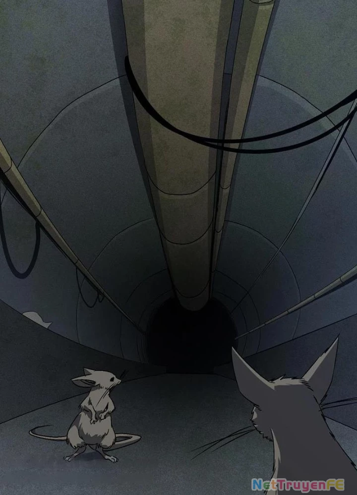 Ta Học Trảm Thần Trong Bệnh Viện Tâm Thần Chapter 136 - Trang 2