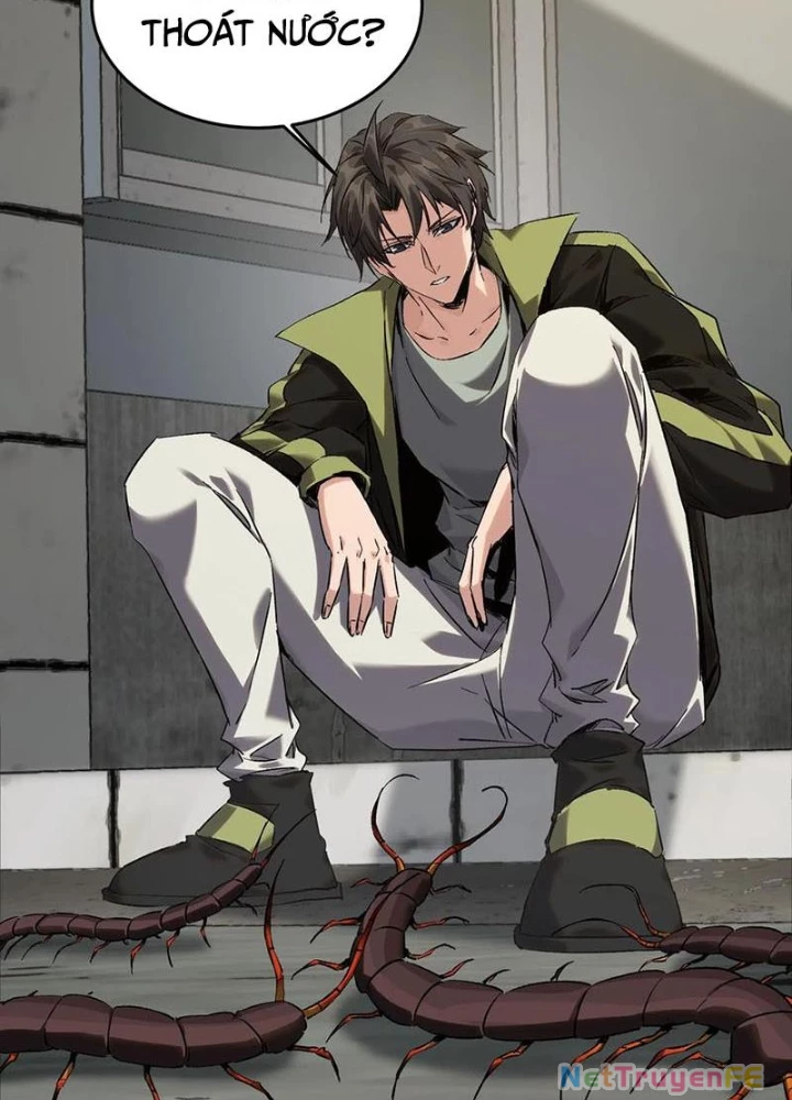 Ta Học Trảm Thần Trong Bệnh Viện Tâm Thần Chapter 136 - Trang 2