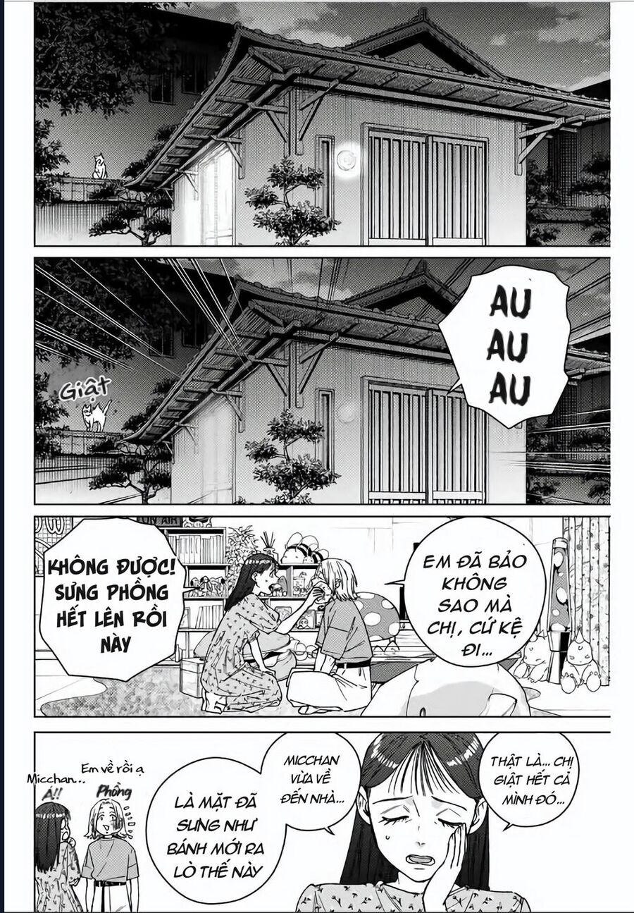 Wind Breaker (Nii Satoru) Chapter 178 - Trang 2