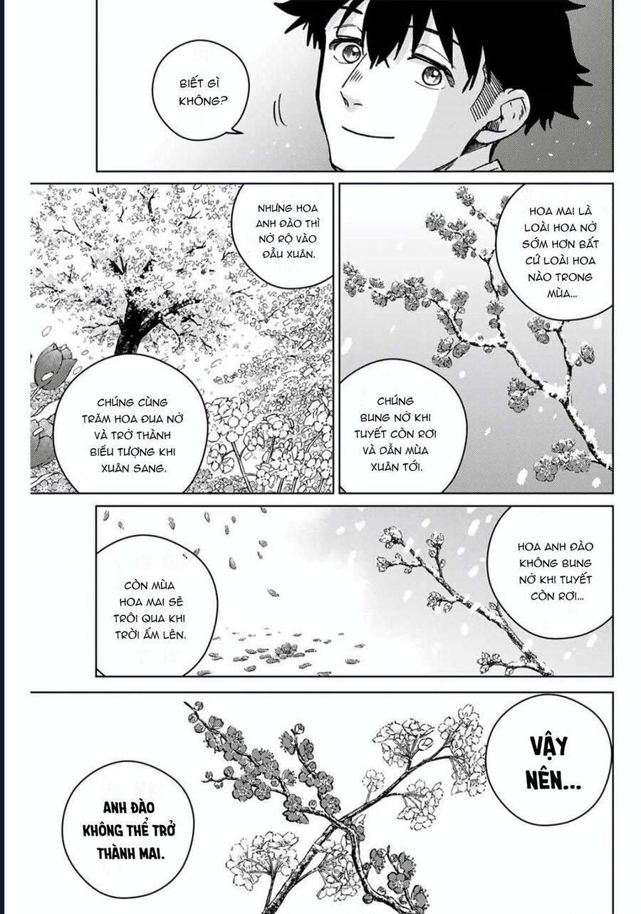 Wind Breaker (Nii Satoru) Chapter 181 - Trang 2