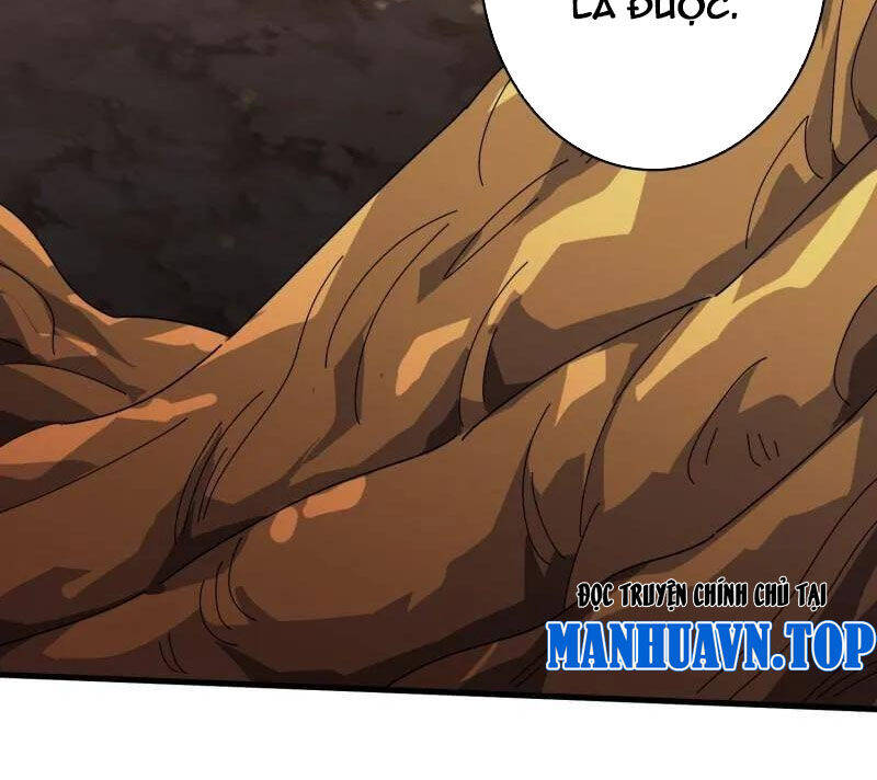 Vừa Chơi Đã Có Tài Khoản Vương Giả Chapter 481 - Trang 2