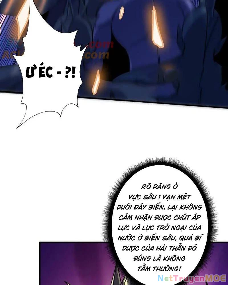 Vừa Chơi Đã Có Tài Khoản Vương Giả Chapter 509 - Trang 2