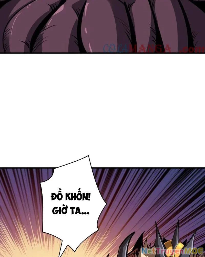 Vừa Chơi Đã Có Tài Khoản Vương Giả Chapter 509 - Trang 2