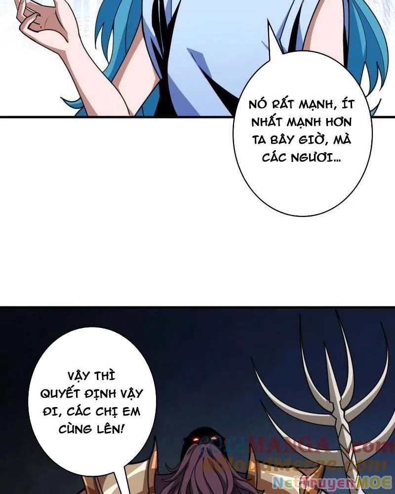 Vừa Chơi Đã Có Tài Khoản Vương Giả Chapter 509 - Trang 2