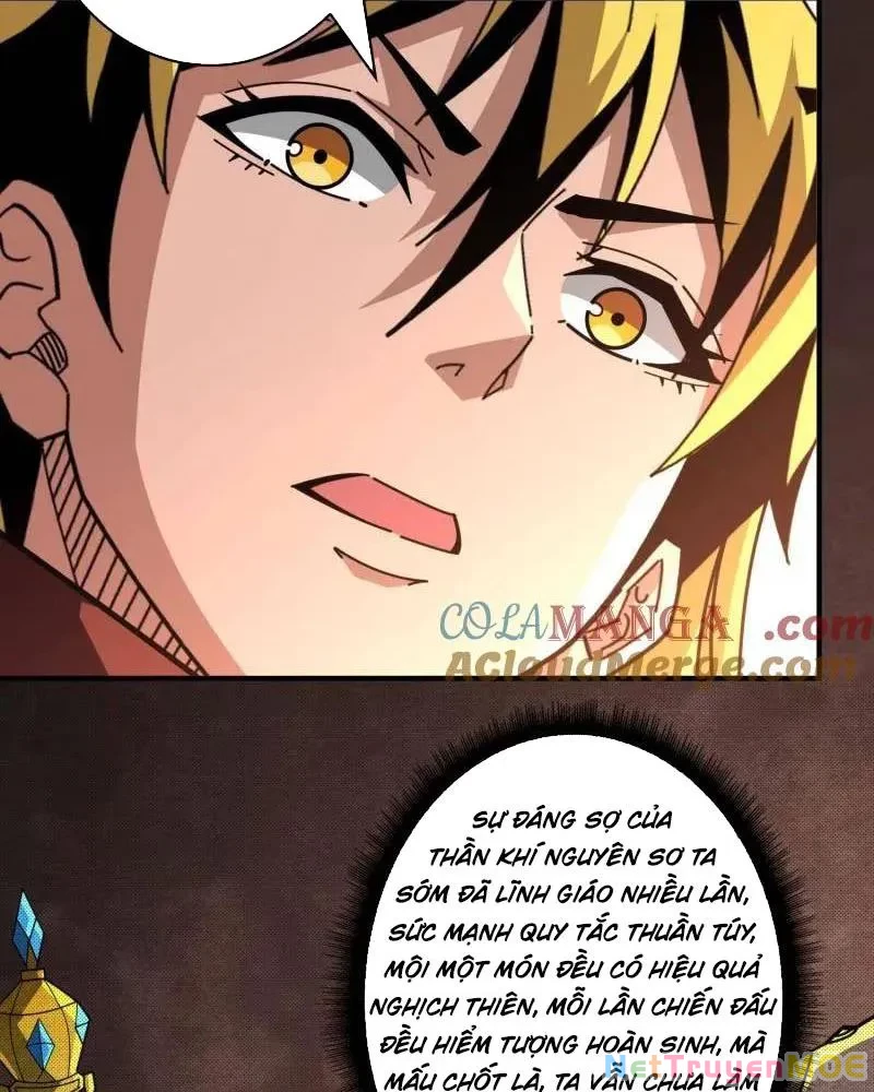 Vừa Chơi Đã Có Tài Khoản Vương Giả Chapter 511 - Trang 2