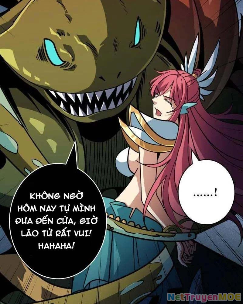 Vừa Chơi Đã Có Tài Khoản Vương Giả Chapter 513 - Trang 2