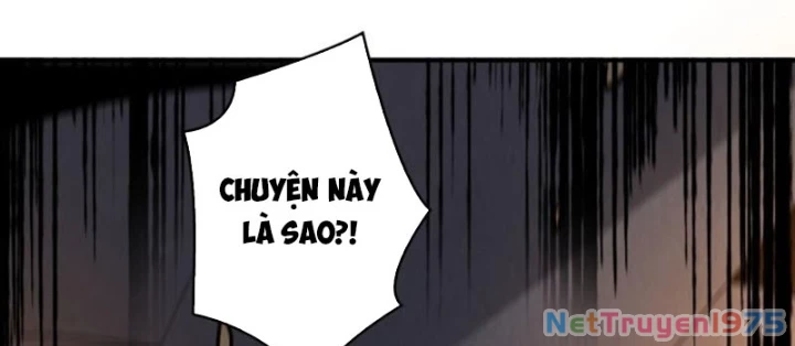 Vừa Chơi Đã Có Tài Khoản Vương Giả Chapter 521 - Trang 2