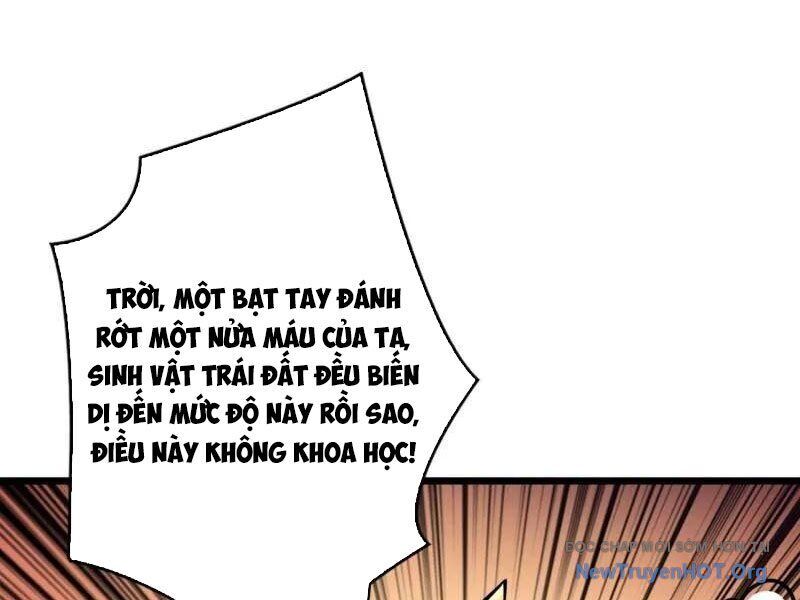 Vừa Chơi Đã Có Tài Khoản Vương Giả Chapter 529 - Trang 2