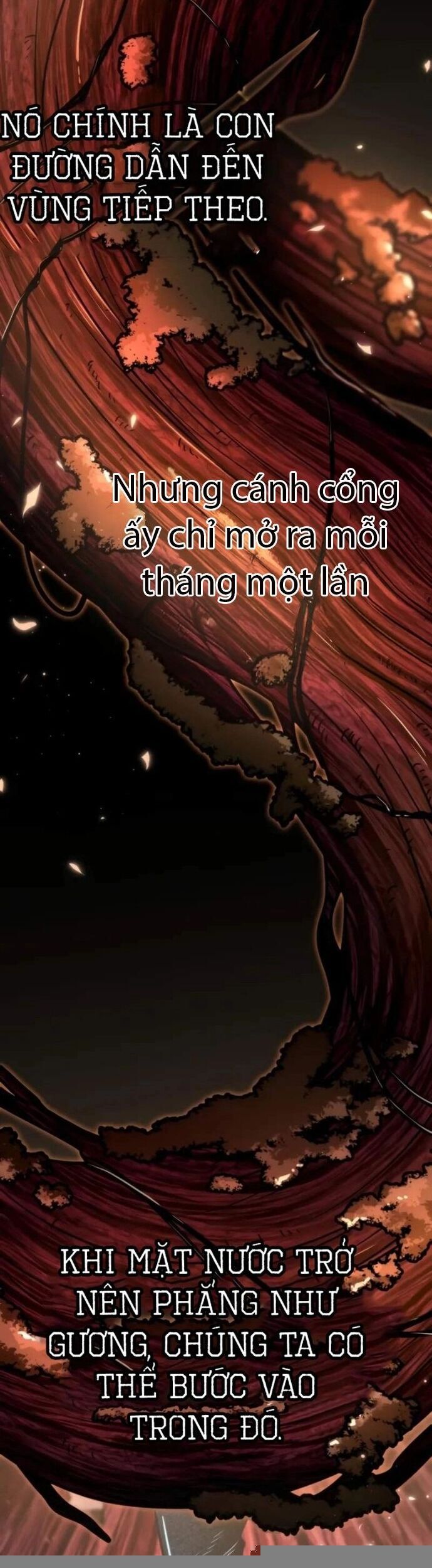 Chiến Binh Hồi Quy Chapter 73 - Trang 2