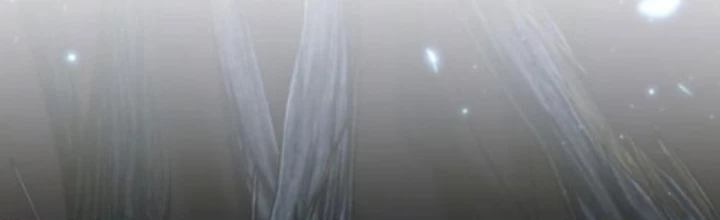 Chiến Binh Hồi Quy Chapter 86 - Trang 2