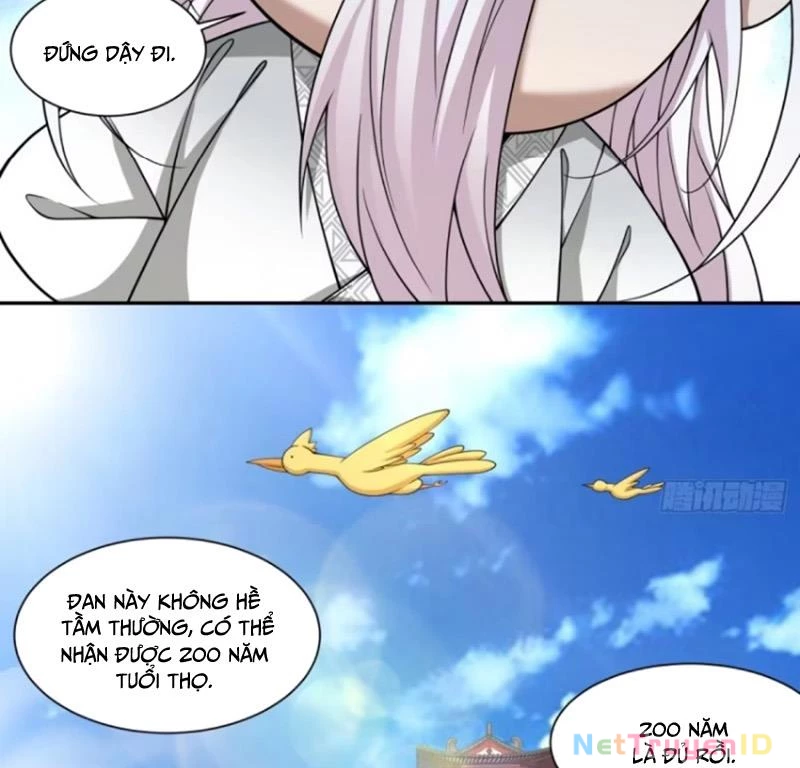 Đồ Đệ Của Ta Đều Là Đại Phản Phái Chapter 345 - Trang 2