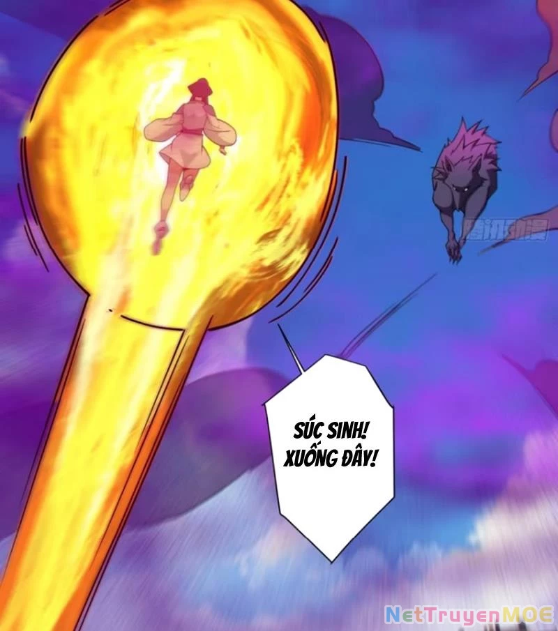 Đồ Đệ Của Ta Đều Là Đại Phản Phái Chapter 352 - Trang 2