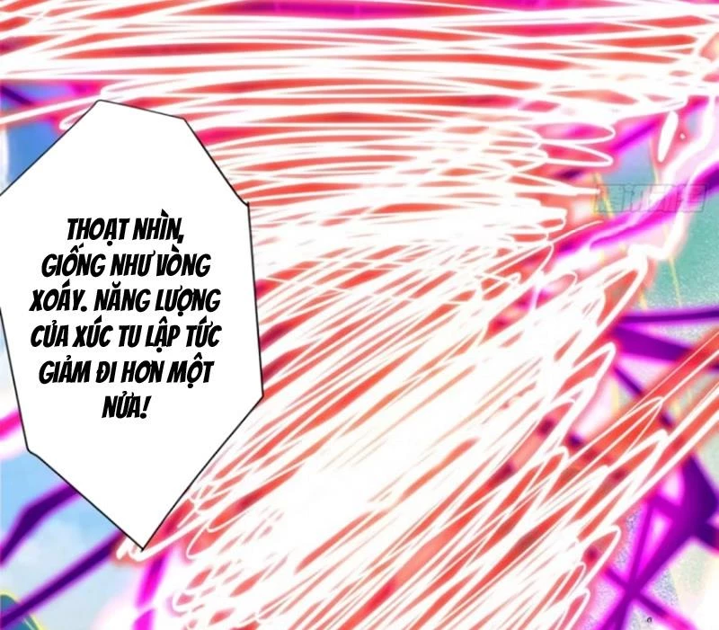 Đồ Đệ Của Ta Đều Là Đại Phản Phái Chapter 371 - Trang 2