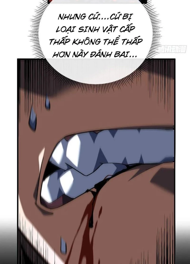 Mệnh Luân Chi Chủ! Khi Dị Biến Giáng Lâm Nhân Gian! Chapter 113 - Trang 2