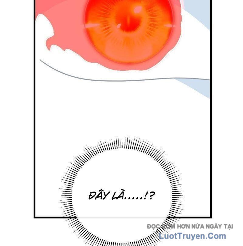 Mệnh Luân Chi Chủ! Khi Dị Biến Giáng Lâm Nhân Gian! Chapter 167 - Trang 2