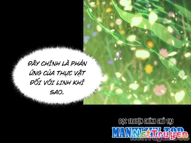 Sau Khi Chia Tay Hoa Khôi, Võ Đạo Của Ta Thẳng Tới Cấp Thần Chapter 14 - Trang 2