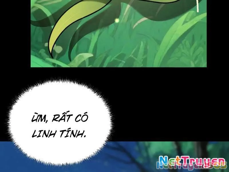 Sau Khi Chia Tay Hoa Khôi, Võ Đạo Của Ta Thẳng Tới Cấp Thần Chapter 14 - Trang 2