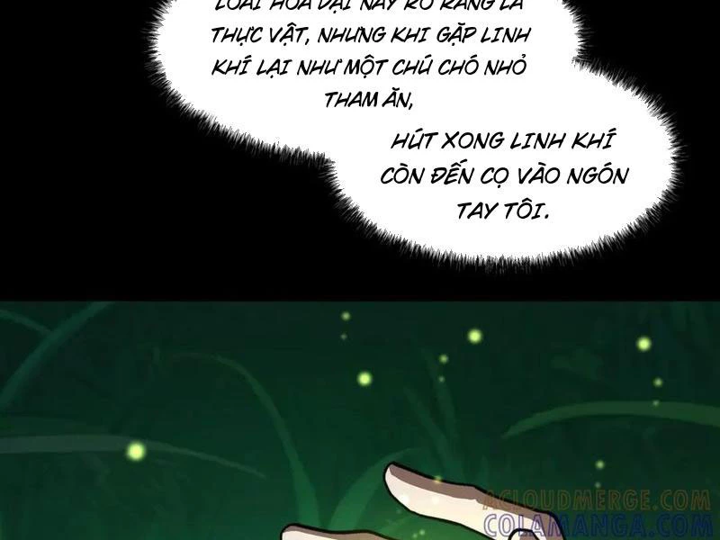 Sau Khi Chia Tay Hoa Khôi, Võ Đạo Của Ta Thẳng Tới Cấp Thần Chapter 14 - Trang 2