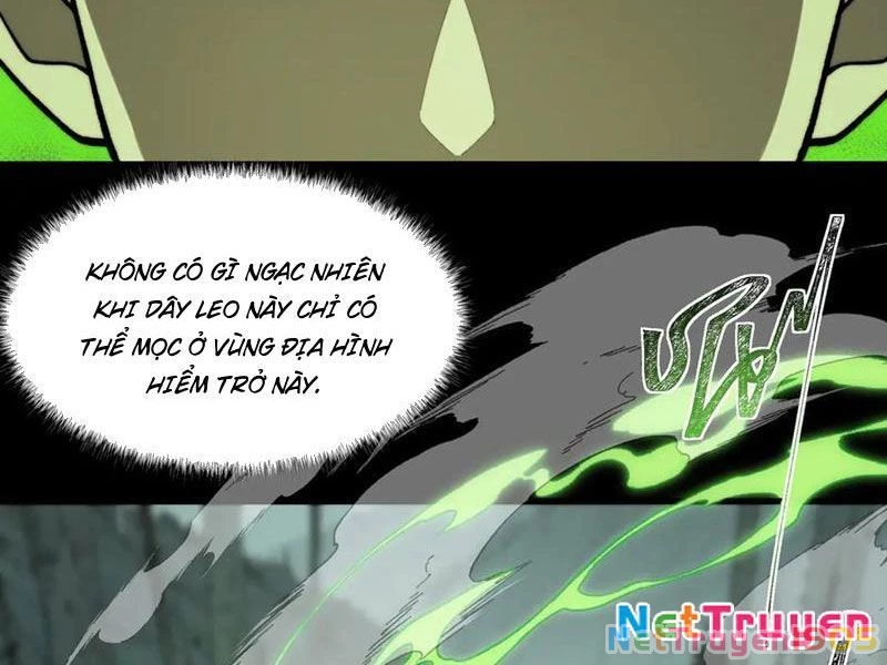 Sau Khi Chia Tay Hoa Khôi, Võ Đạo Của Ta Thẳng Tới Cấp Thần Chapter 14 - Trang 2