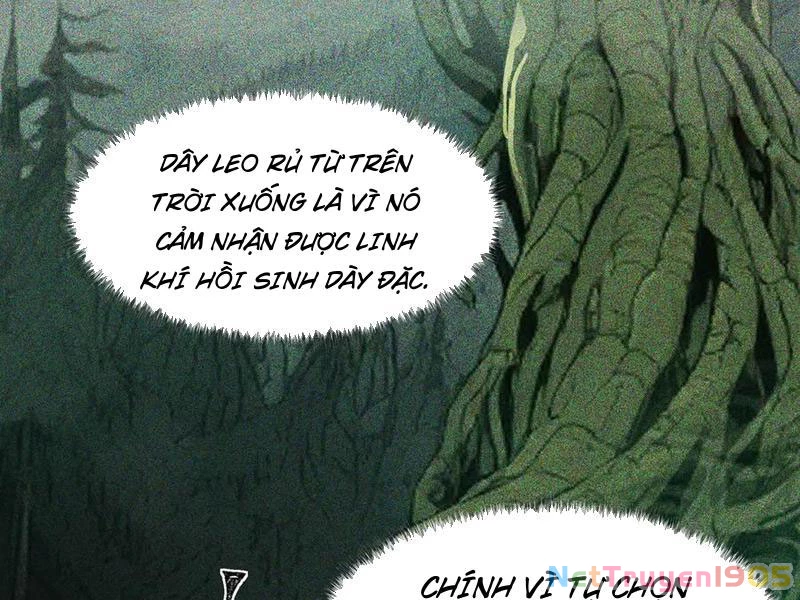 Sau Khi Chia Tay Hoa Khôi, Võ Đạo Của Ta Thẳng Tới Cấp Thần Chapter 14 - Trang 2