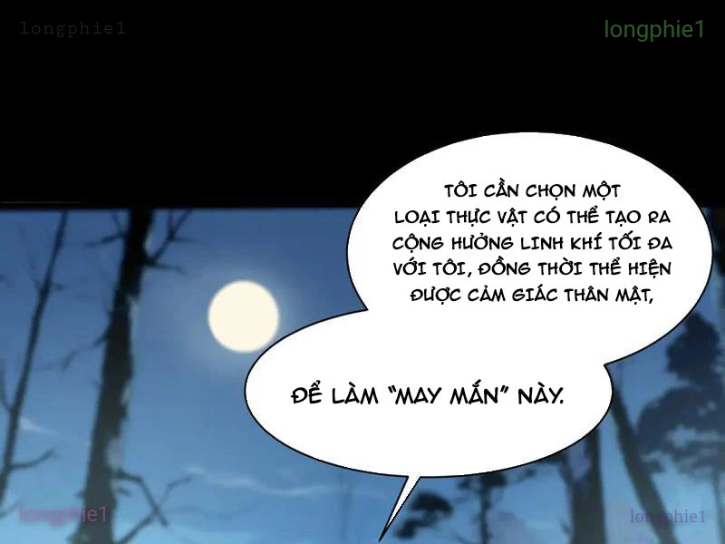 Sau Khi Chia Tay Hoa Khôi, Võ Đạo Của Ta Thẳng Tới Cấp Thần Chapter 14 - Trang 2