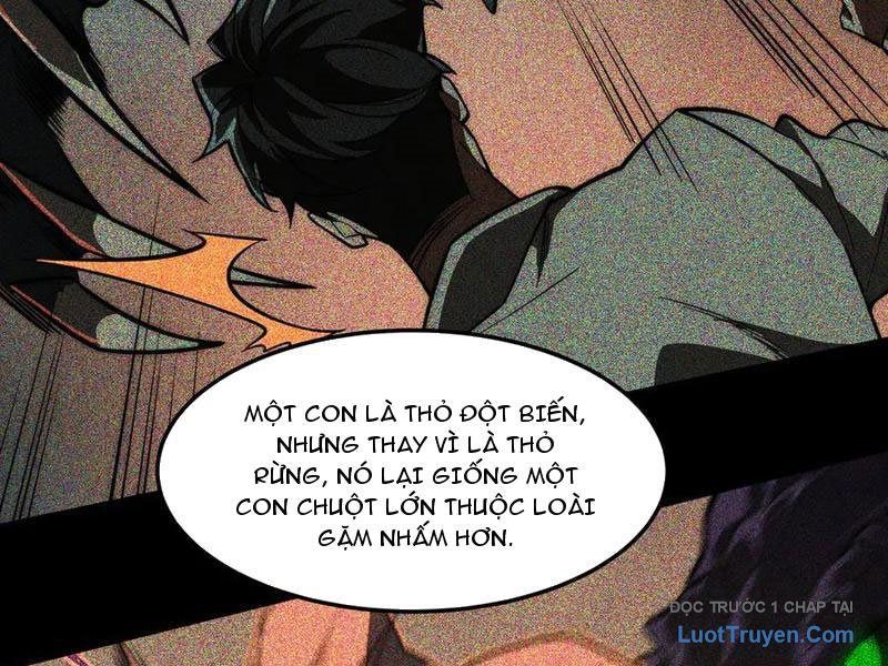 Sau Khi Chia Tay Hoa Khôi, Võ Đạo Của Ta Thẳng Tới Cấp Thần Chapter 22 - Trang 2