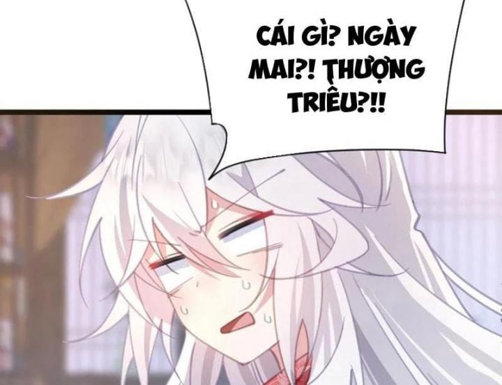 Đập Vỡ Hoàng Đế Nữ Nhi Thân Chapter 15 - Trang 2