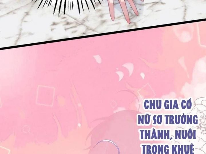 Đập Vỡ Hoàng Đế Nữ Nhi Thân Chapter 17 - Trang 2