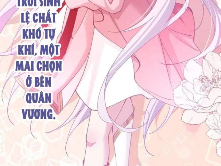 Đập Vỡ Hoàng Đế Nữ Nhi Thân Chapter 17 - Trang 2