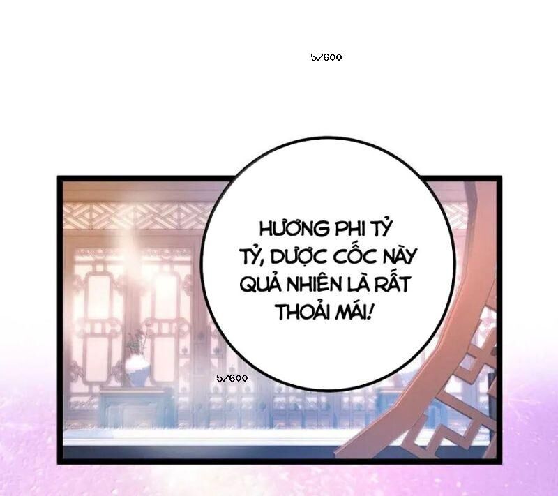 Đập Vỡ Hoàng Đế Nữ Nhi Thân Chapter 23 - Trang 2