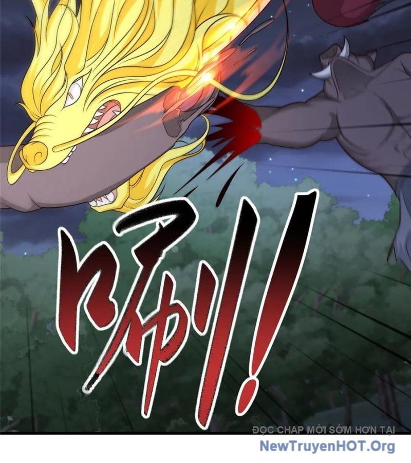 Mục Long Sư Chapter 477 - Trang 2