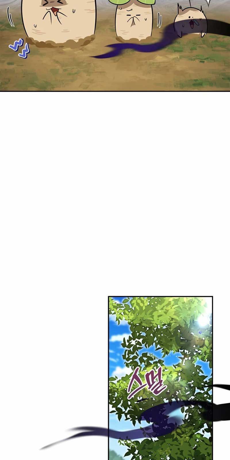 Healer Cấp S Chữa Trị Cho Quái Vật Chapter 4 - Trang 2