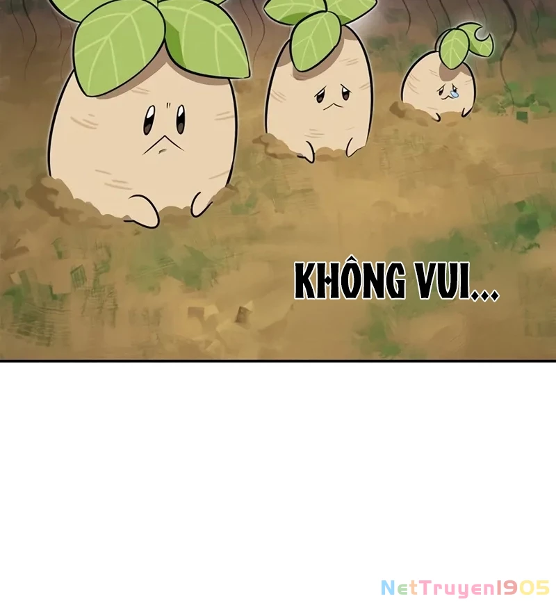 Healer Cấp S Chữa Trị Cho Quái Vật Chapter 5 - Trang 2