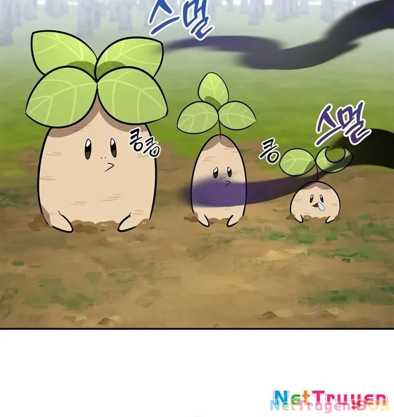 Healer Cấp S Chữa Trị Cho Quái Vật Chapter 5 - Trang 2