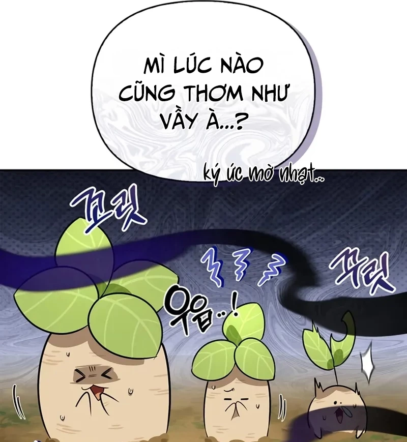 Healer Cấp S Chữa Trị Cho Quái Vật Chapter 5 - Trang 2