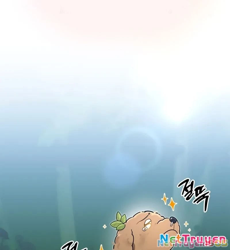 Healer Cấp S Chữa Trị Cho Quái Vật Chapter 5 - Trang 2