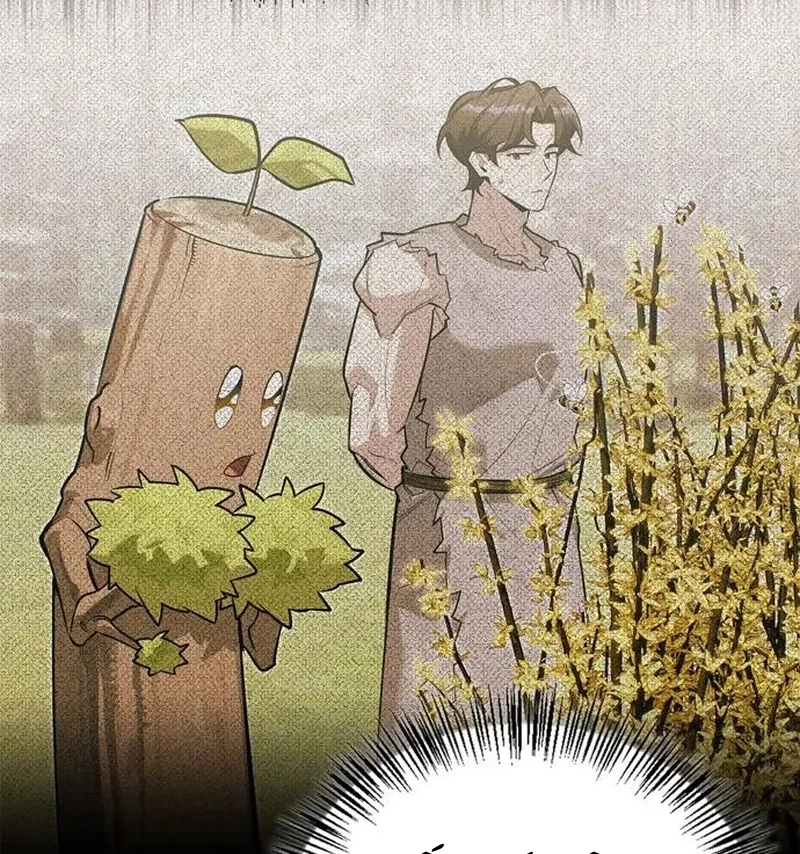 Healer Cấp S Chữa Trị Cho Quái Vật Chapter 6 - Trang 2
