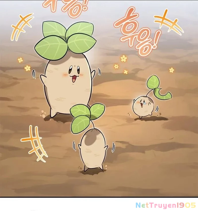 Healer Cấp S Chữa Trị Cho Quái Vật Chapter 6 - Trang 2