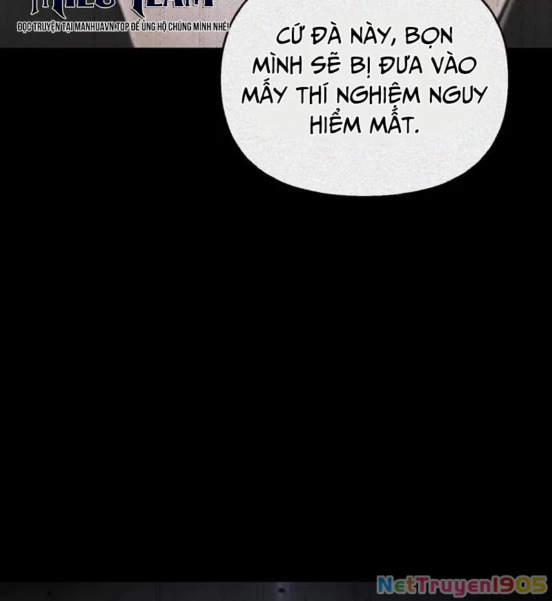 Healer Cấp S Chữa Trị Cho Quái Vật Chapter 6 - Trang 2