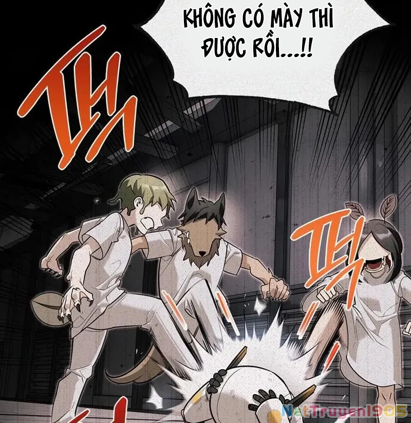 Healer Cấp S Chữa Trị Cho Quái Vật Chapter 6 - Trang 2