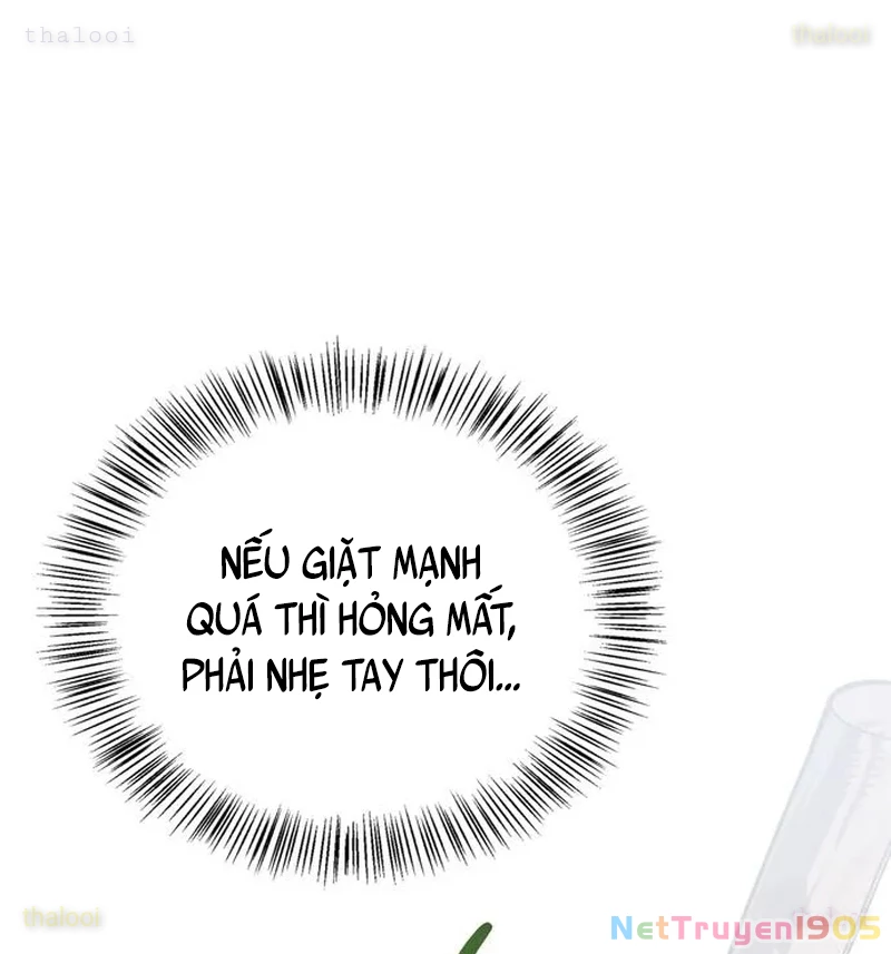 Healer Cấp S Chữa Trị Cho Quái Vật Chapter 6 - Trang 2