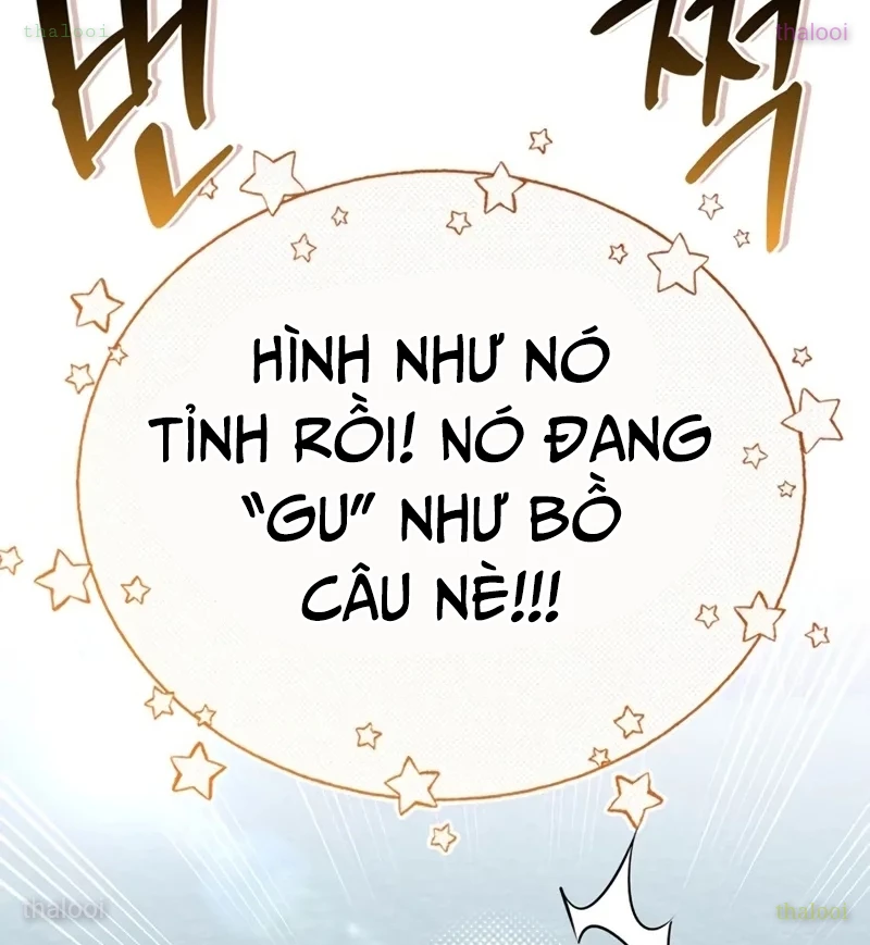 Healer Cấp S Chữa Trị Cho Quái Vật Chapter 7 - Trang 2